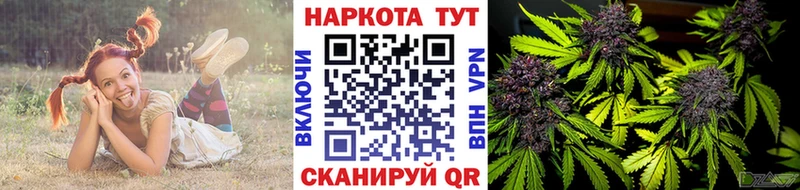 Как найти наркотики Гусев Марихуана АМФ Меф мяу мяу Кокаин