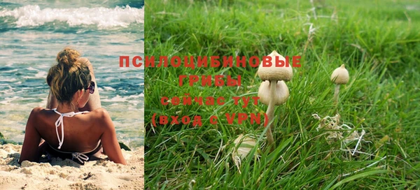 герыч Вяземский
