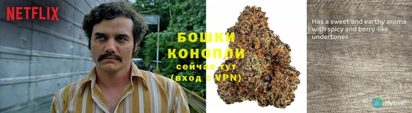 герыч Вяземский