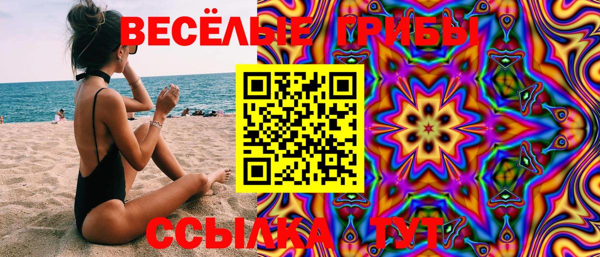 Галлюциногенные грибы Cubensis  Гусев  Галлюциногенные грибы прущие грибы 